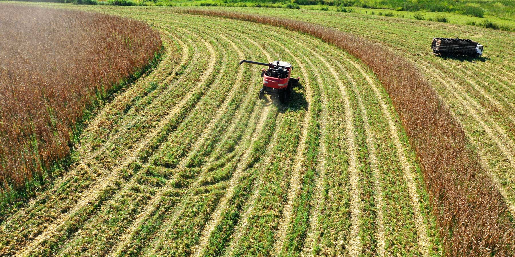 Mauritania: Proyectos FIEM